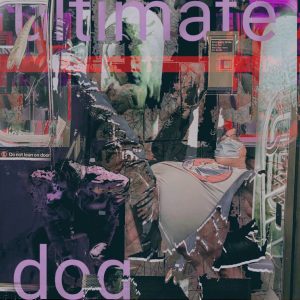 The Ultimate Dog